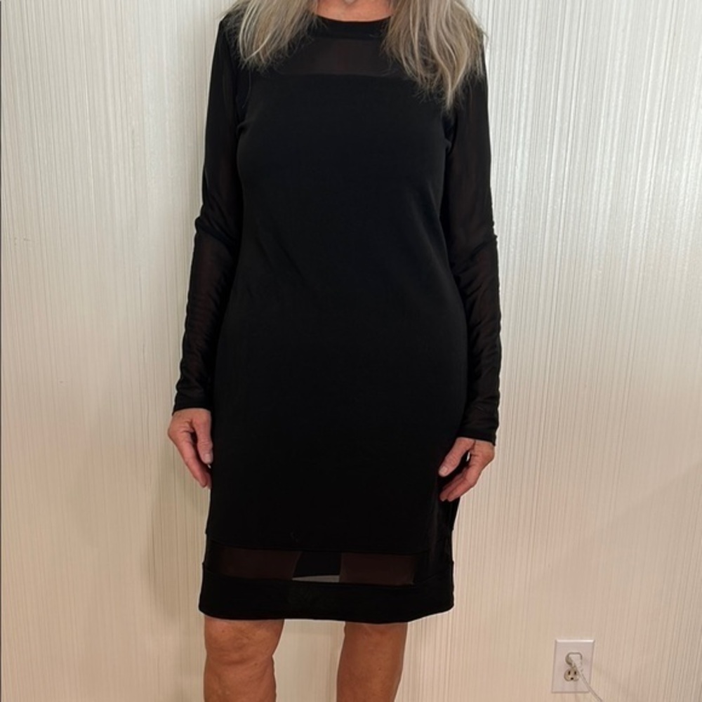 Elegant Black Sheer Sleeve Dress